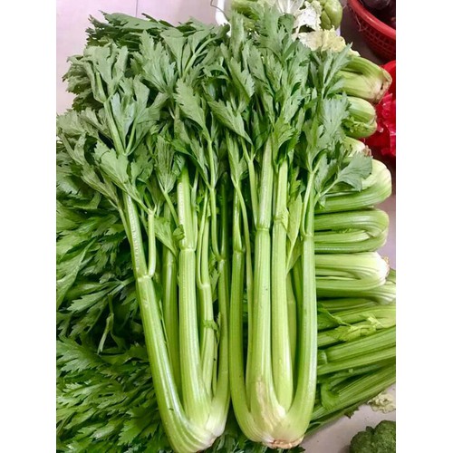 Cần tây Đà Lạt